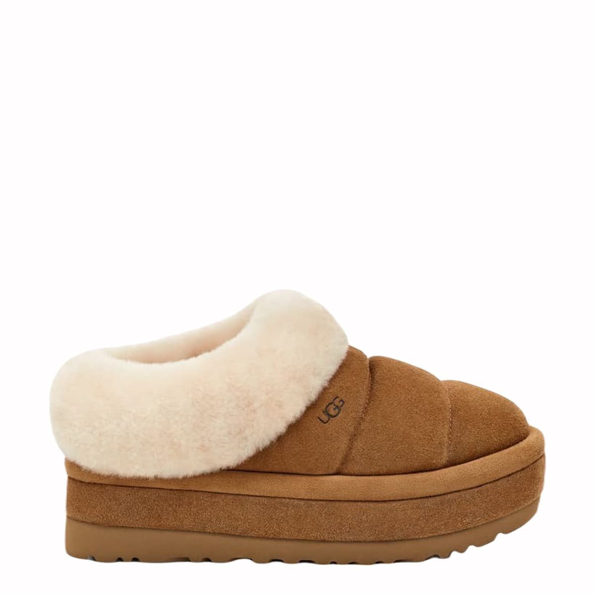 TAZZLITA CHESTNUT